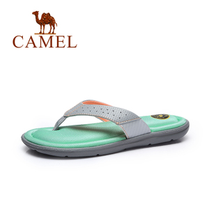 Camel/骆驼 A72357608
