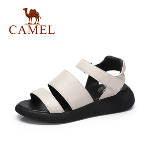 Camel/骆驼 A72863637