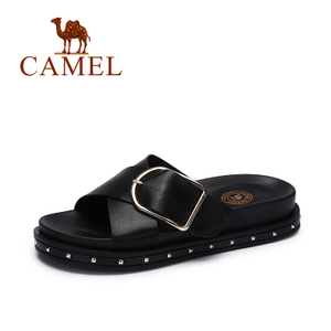 Camel/骆驼 A72501605