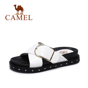 Camel/骆驼 A72501605