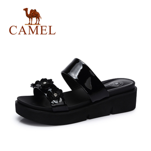 Camel/骆驼 A72261601