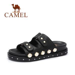 Camel/骆驼 A72501604