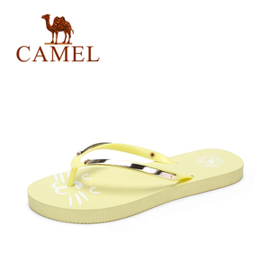 Camel/骆驼 A72226661