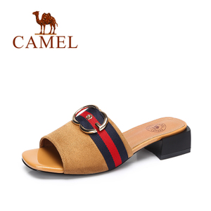 Camel/骆驼 A72514605