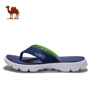 Camel/骆驼 A722300115