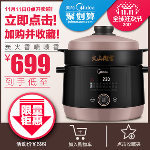 Midea/美的 TGS40W