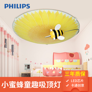 Philips/飞利浦 62237-22W-72times0.25W