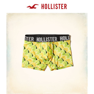Hollister 173749