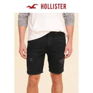 Hollister 169961