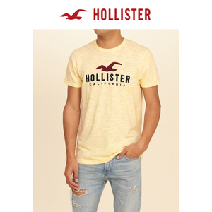 Hollister 153650