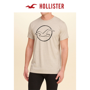 Hollister 165247