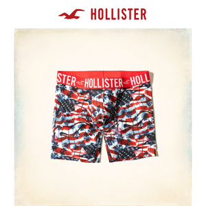 Hollister 161706