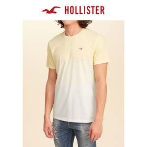 Hollister 157034