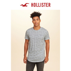 Hollister 160239