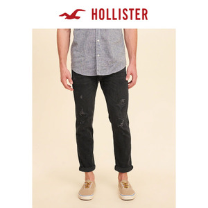 Hollister 155915