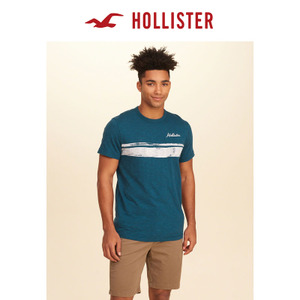 Hollister 171669