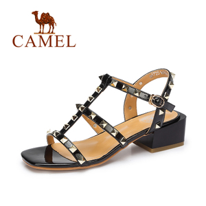 Camel/骆驼 A72511602