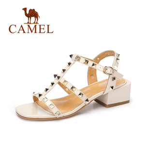 Camel/骆驼 A72511602