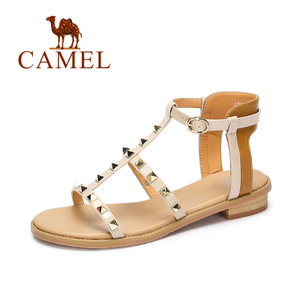 Camel/骆驼 A72511603