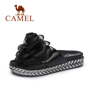 Camel/骆驼 A72843645