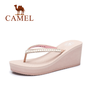 Camel/骆驼 72226670