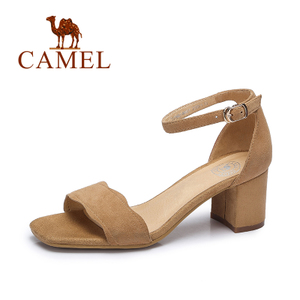 Camel/骆驼 72014601