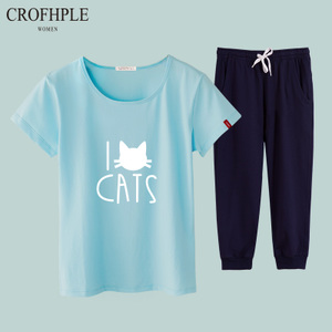 CROFHPLE 040106