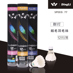 顶力 DLbadminton