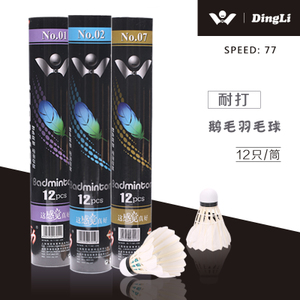 顶力 DLbadminton