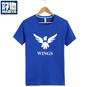 HT01-WINGS