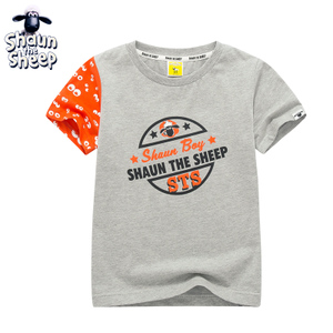 Shaun the Sheep/小羊肖恩 SS2T171106