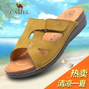 Camel/骆驼 A162326048