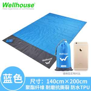 Wellhouse WH-00451-55