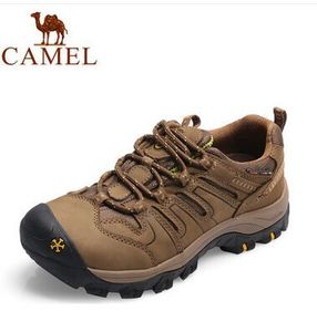Camel/骆驼 153309065
