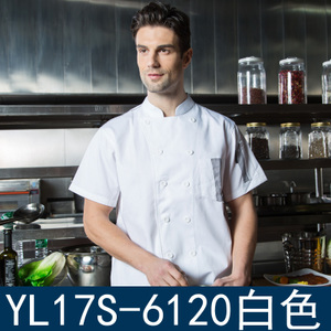 YL17S-6120