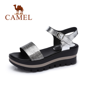 Camel/骆驼 A72132677