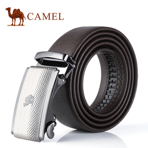 Camel/骆驼 DF214173-02