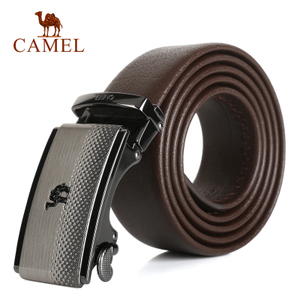 Camel/骆驼 DF214173-02