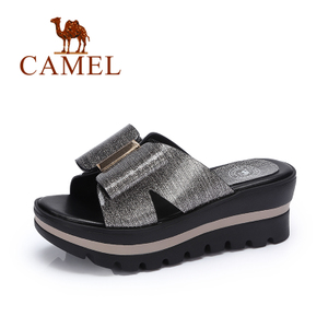 Camel/骆驼 A72132676