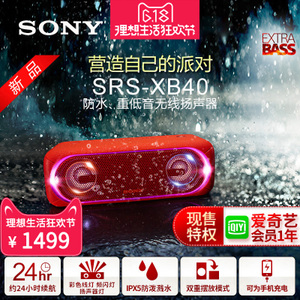 Sony/索尼 SRS-XB40