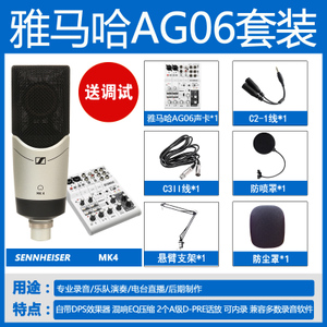 SENNHEISER/森海塞尔 AG06