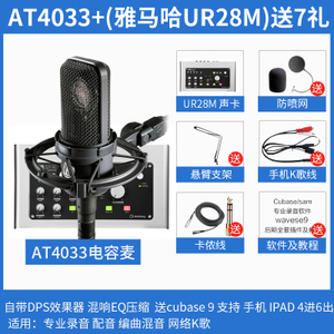 Audio Technica/铁三角 UR28M