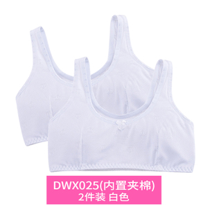 DWX025-2