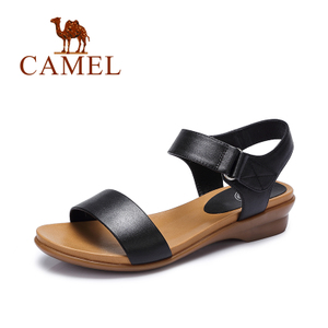 Camel/骆驼 62862627