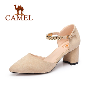 Camel/骆驼 72501600