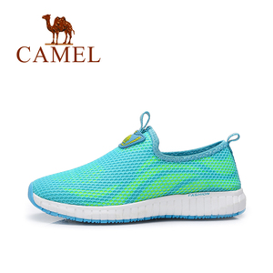 Camel/骆驼 71330616