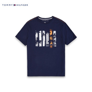 TOMMY HILFIGER C8878B0662NU-416