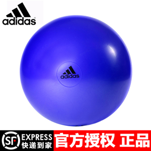 Adidas/阿迪达斯 ADBL-13245