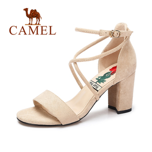 Camel/骆驼 A72511606
