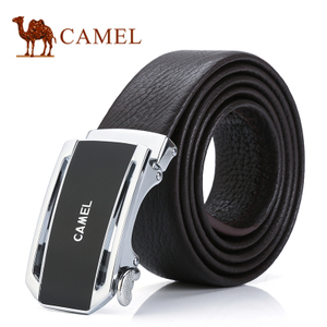 Camel/骆驼 DF218146-02